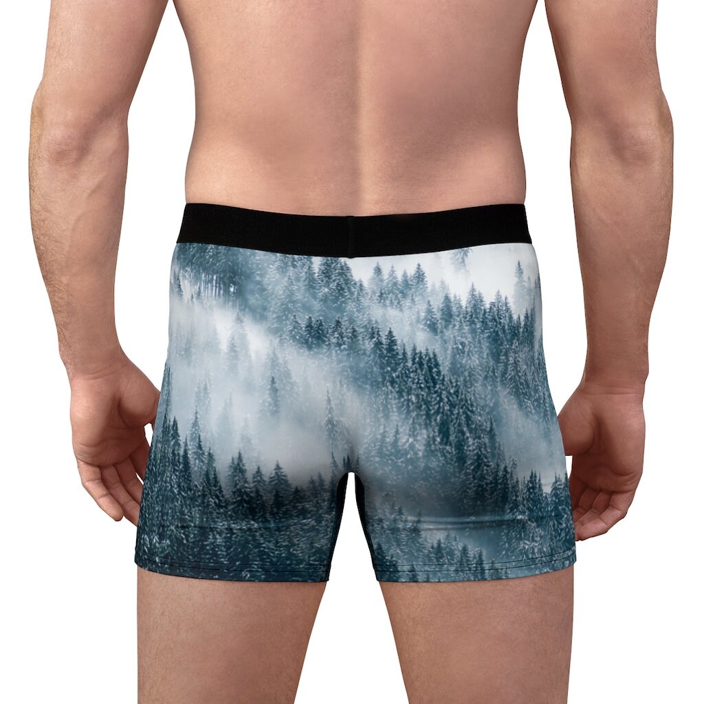 Grizzly Bear Men's Boxer Briefs, Funny Underwear, Men's Underwear, Gift