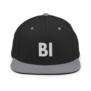 Bi Snapback Hat, Bisexual, LGBT, Pride, Gay, Queer