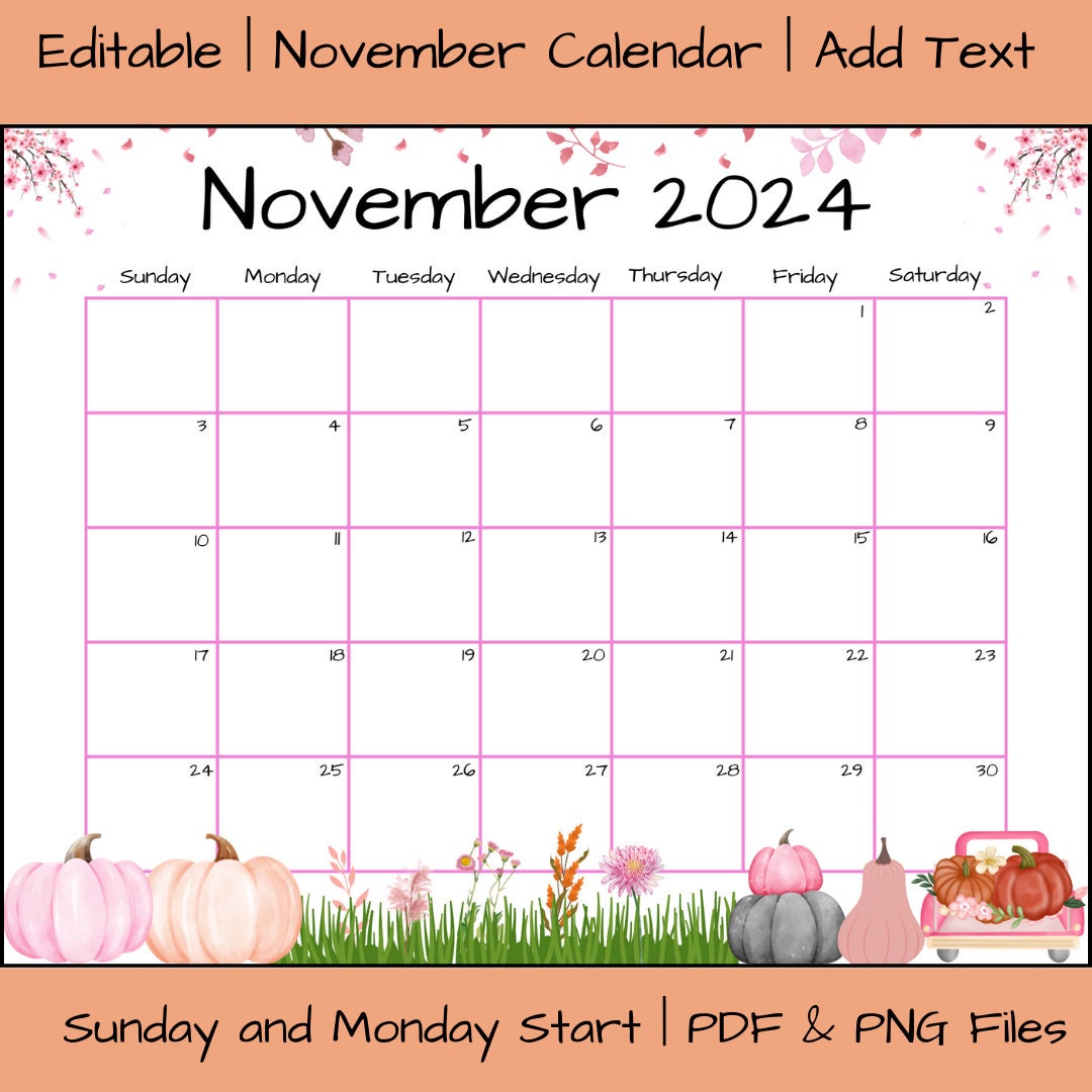 Editable November 2024 Calendar, Pink Pumpkin Calendar, Editable