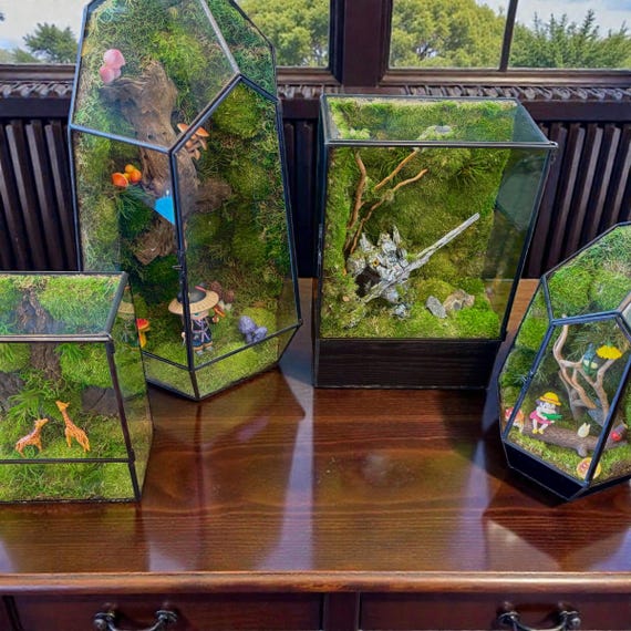 Custom Hand Made Enclosed Themed Moss Terrarium