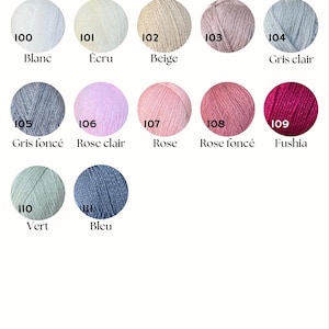 Op de afbeelding: Een kleurenkaart getiteld Nuancier de couleurs met de tekst Glitter colors: name only. Het toont twaalf ronde garenmonsters genummerd van 100 tot 111, in tinten wit, ecru, beige, roze, grijs, fuchsia, groen en blauw.