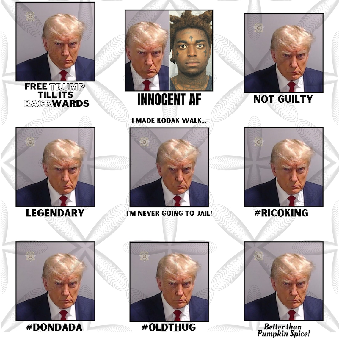 Donald Trump Official Mugshot SVG JPG PNG Files Tshirts Rolling Trays