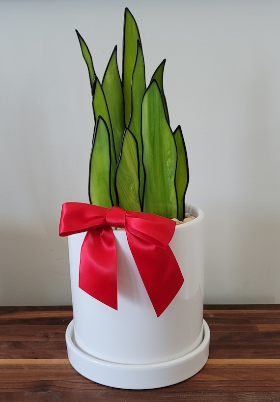 3D Snake Plant / Succulent / Tropical Stained Glass - beautiful in your  home year round!