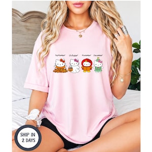 Puede incluir: Una camiseta de manga corta de color rosa claro con un gr&aacute;fico de cuatro personajes de Hello Kitty que representan los meses de septiembre, octubre, noviembre y diciembre. Los personajes llevan trajes de temporada, como hojas de oto&ntilde;o, un disfraz de fantasma, un traje de pavo y un disfraz de &aacute;rbol de Navidad.