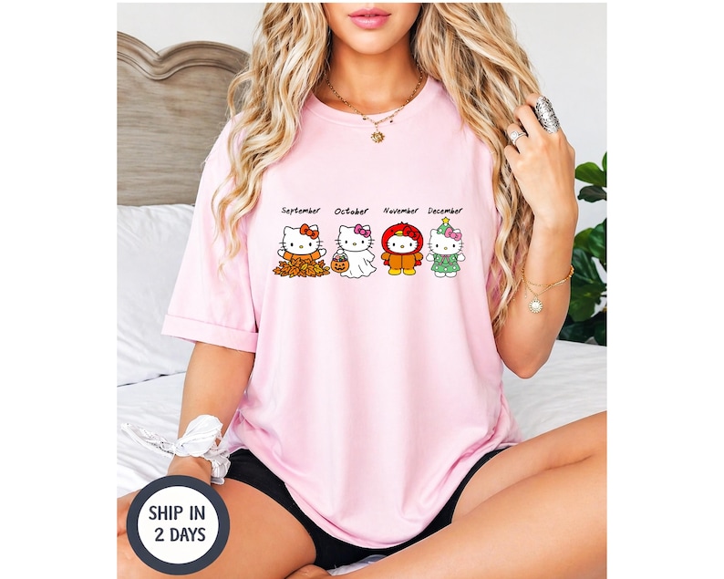 Puede incluir: Una camiseta de manga corta de color rosa claro con un gr&aacute;fico de cuatro personajes de Hello Kitty que representan los meses de septiembre, octubre, noviembre y diciembre. Los personajes llevan trajes de temporada, como hojas de oto&ntilde;o, un disfraz de fantasma, un traje de pavo y un disfraz de &aacute;rbol de Navidad.