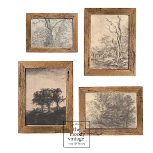 Set of 4 Prints Vintage, Tree Wall Art Black and White, Vintage Gallery Wall Print Set of 4 Botanical Prints