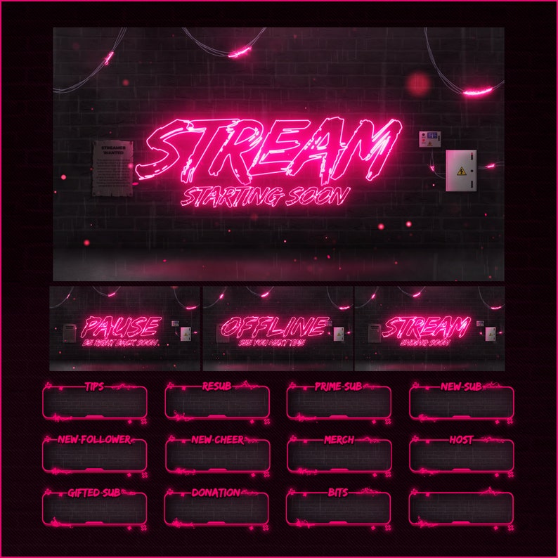 Pink Neon Stream Overlays Package With Lighting Effects Etsy