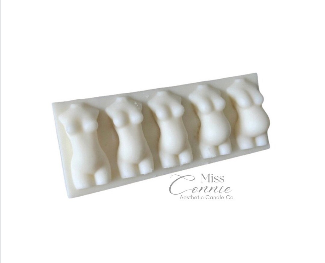 Stages of Pregnancy Wax Melt Bar Etsy