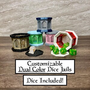 Dual Color Dice Jail | Customizable | Dice Included | Dice Guardian Display Holder | D&D Dungeons and Dragons Gift | Fate&#39;s End Merchant
