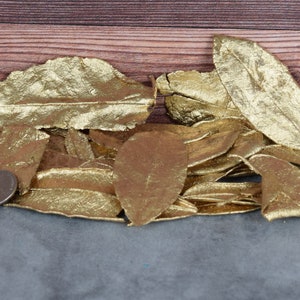 Puede incluir: Un montón de hojas pintadas de oro, algunas con vetas visibles, sobre una superficie gris. Una pequeña moneda redonda de plata está en la esquina inferior izquierda.