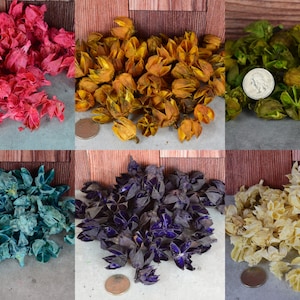 Könnte beinhalten: Sechs Stapel getrockneter Blütenknospen in verschiedenen Farben, darunter rosa, orange, grün, blau, lila und creme. Jeder Stapel ist auf einer grauen Oberfläche mit einer US-amerikanischen 25-Cent-Münze als Maßstab angeordnet.