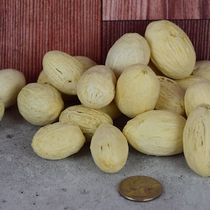 Amra Pods (Bleached), unscented botanicals for potpourri or bowl filler