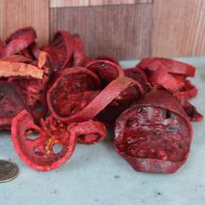 May include: A pile of dried red fruit slices, some with a star-shaped center, on a gray surface. A US penny is in the lower left corner of the image.