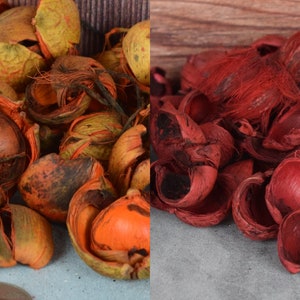 Fiber Cups (Orange), unscented botanicals for potpourri or bowl filler and crafts