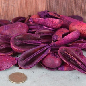 Pear Pods (Purple), unscented botanicals for potpourri or bowl filler
