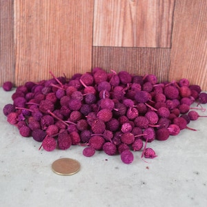 Bora Berries (Purple), unscented botanicals for potpourri or bowl filler