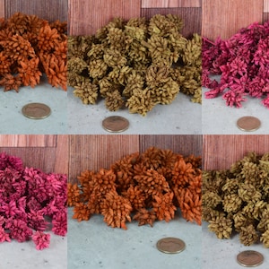 May include: Six piles of dried flowers in three colors: orange, green, and pink. Each pile is about the size of a US quarter.