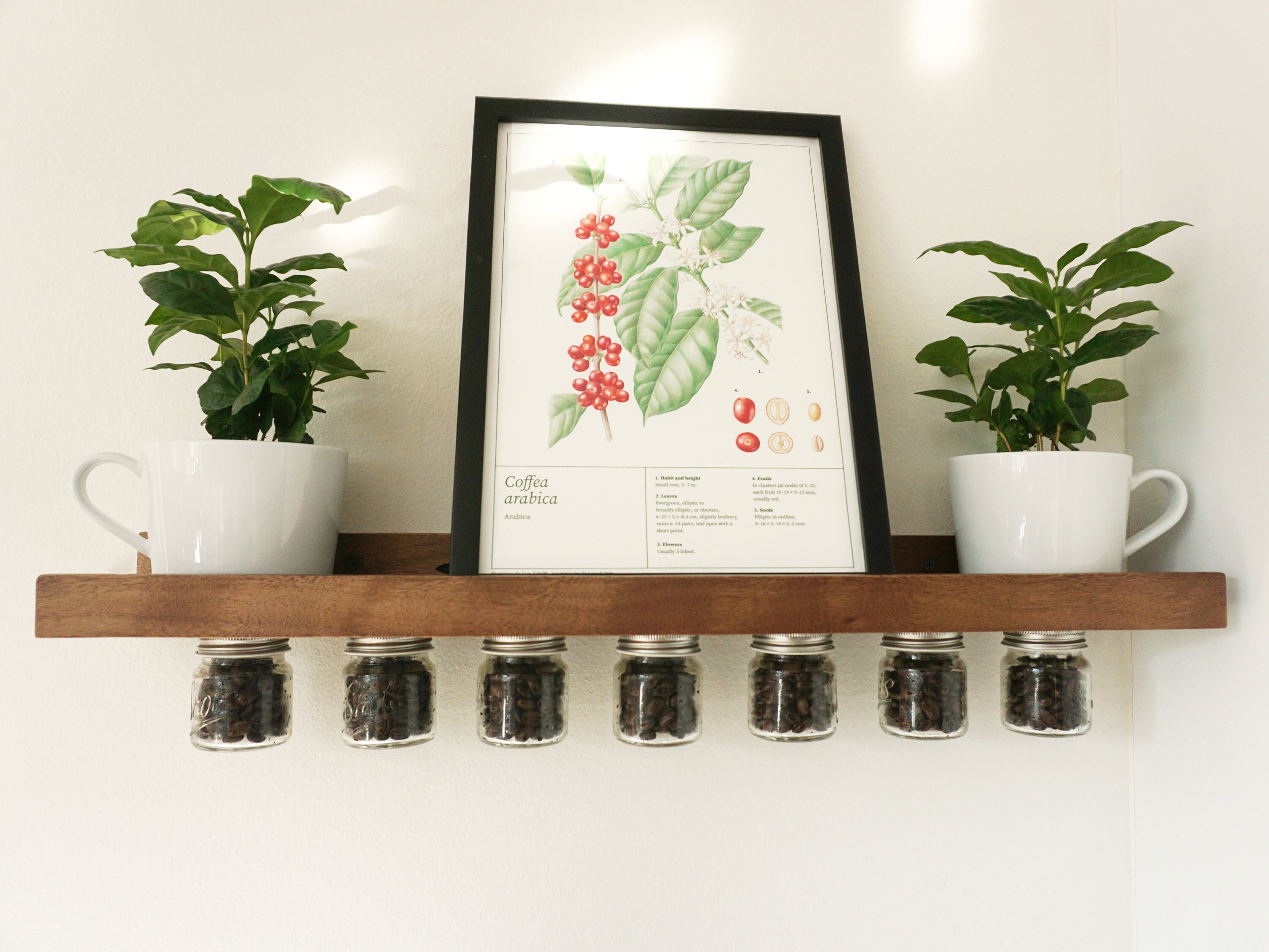 Floating Coffee Bean Vaults Wood Floating Shelf Coffee Bean Cellars