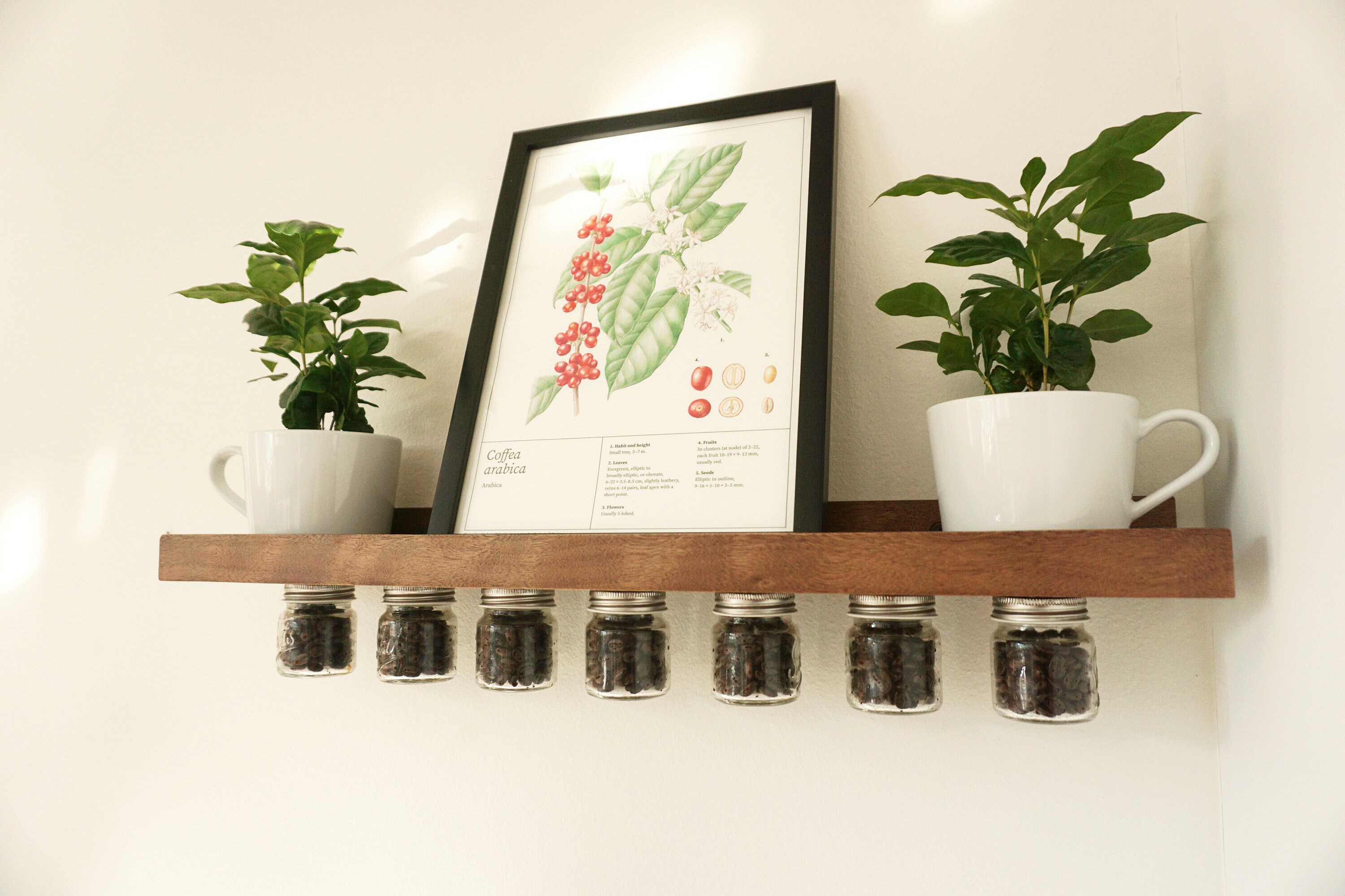 Floating Coffee Bean Vaults Wood Floating Shelf Coffee Bean Cellars