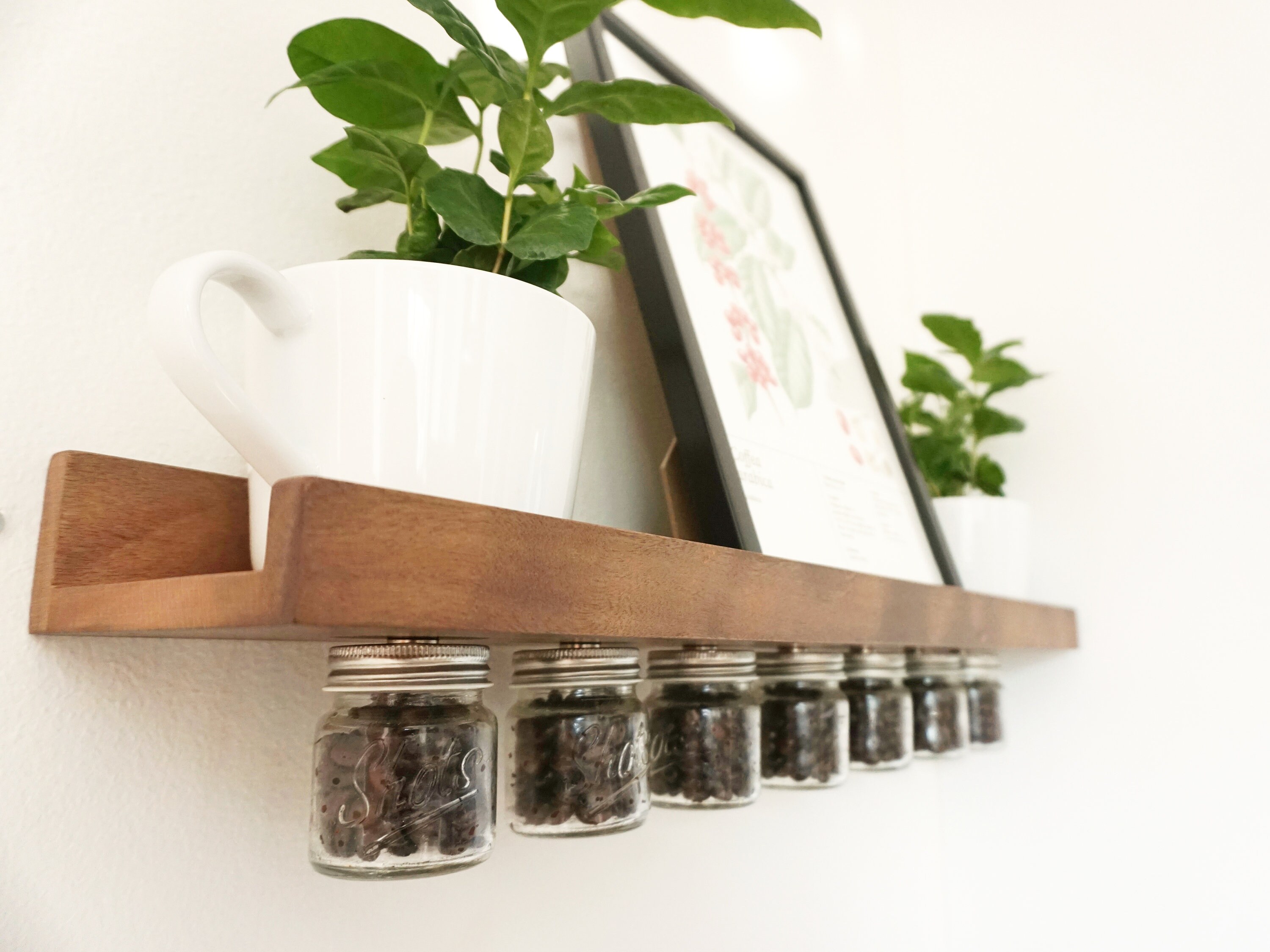 Floating Coffee Bean Vaults Wood Floating Shelf Coffee Bean Cellars