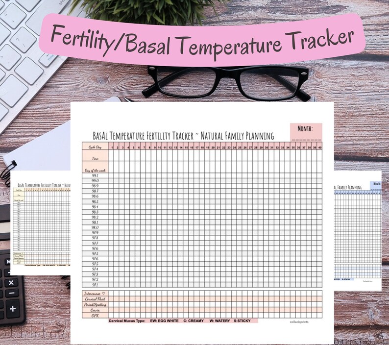 Printable Basal Body Temperature & Ovulation Pregnancy Etsy