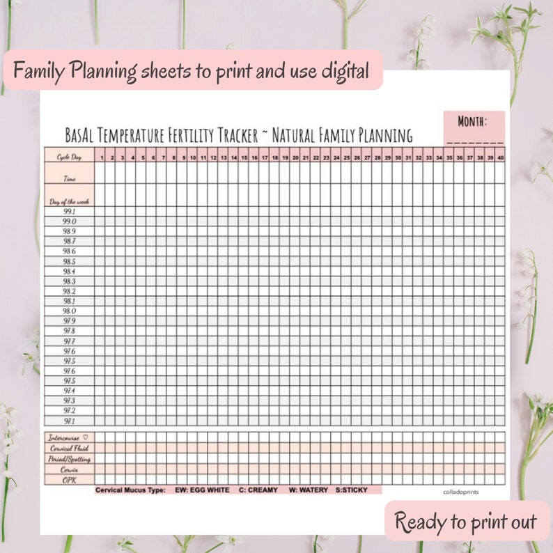 Printable Basal Body Temperature & Ovulation Pregnancy Etsy