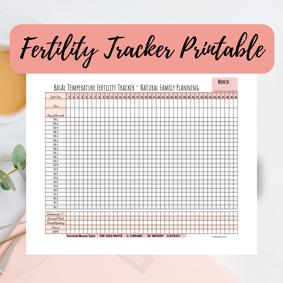 Printable Basal Body Temperature & Ovulation Pregnancy Etsy