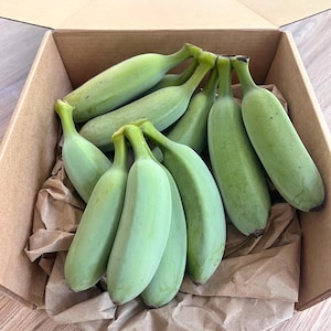 May include: A cluster of unripe, green bananas arranged inside a brown cardboard shipping box. The bananas are short, thick, and have a slightly angular shape. They are resting on a layer of crumpled brown packing paper within the open container.