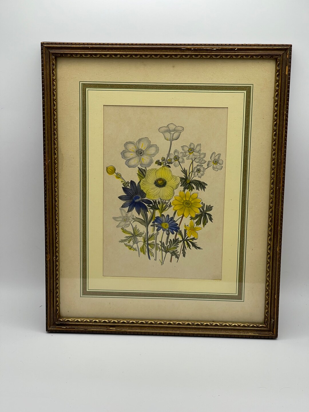 Vintage Framed Botanical Print Floral Wall Decor Etsy