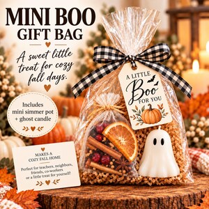 Mini Boo Gift Bag, Fall Simmer Pot, Ghost Candle, Ready to Gift