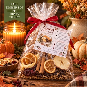 May include: A clear plastic bag filled with dried orange slices, apple slices, cinnamon sticks, and cranberries. A red ribbon ties the top, and a white tag reads A Little Simmer of Love, listing ingredients and instructions for a simmer pot.