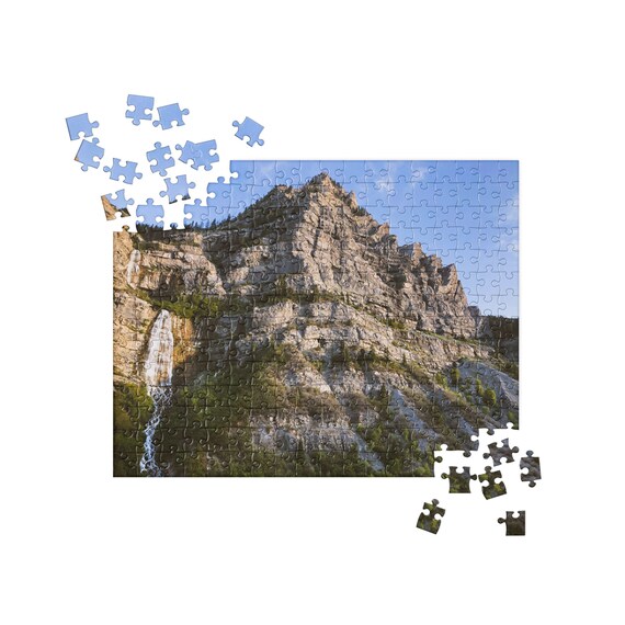 Dried Wildflowers at Bridal Falls Utah Jigsaw Puzzle by Colleen