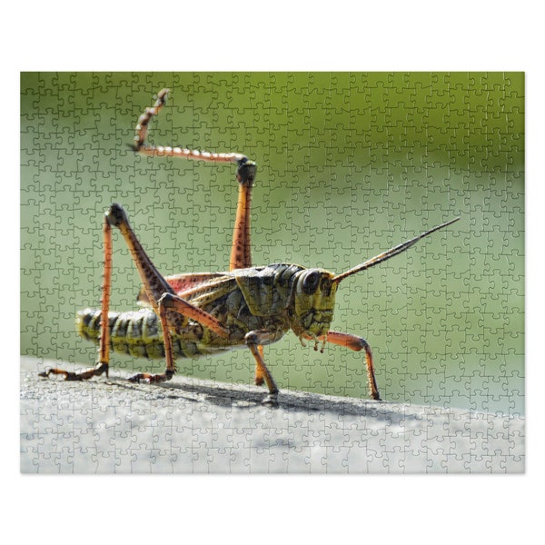 Grasshopper - Etsy