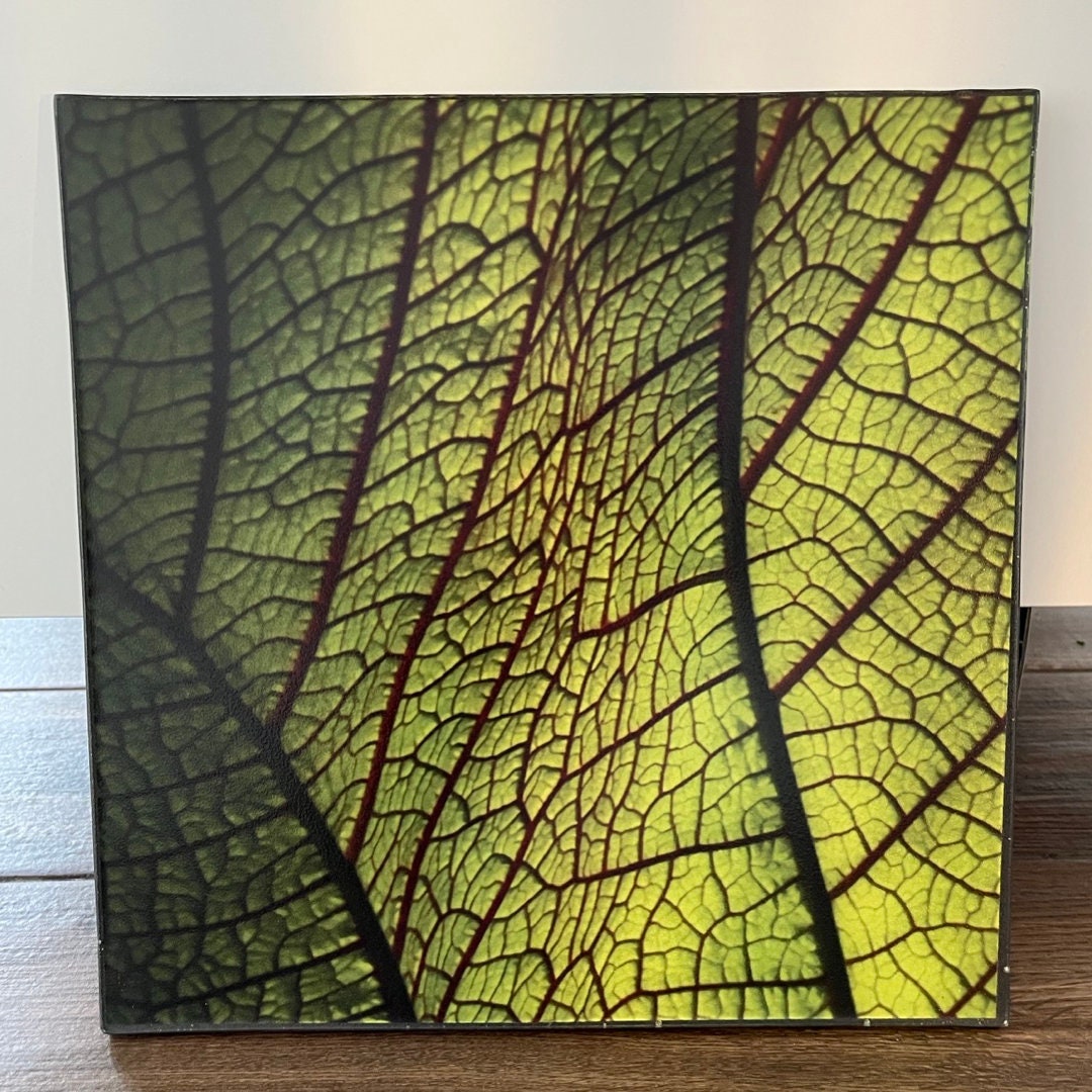 Curated visual reference: Gallery Detail: Interior Design Epoxy Wall Tiles Custom Wall Tile Ceramic Epoxy