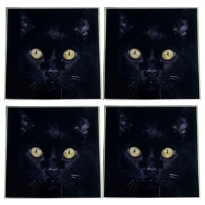Puede incluir: Conjunto de cuatro posavasos de gato negro con ojos amarillos. Los posavasos son cuadrados y presentan una imagen de primer plano de la cara de un gato negro.
