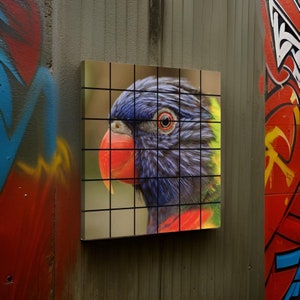 Haus Wandbild • 24 &quot;x 24&quot; gemacht mit 4 &quot;&quot;Fliesen • Hauswand Renovation Umgestaltung • Handgemachtes Mosaik Wandkunstwerk • MODELL: Papagei 03 (36x Tiles)&quot;