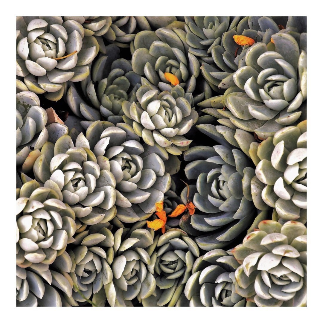 Gallery image with a fresh perspective