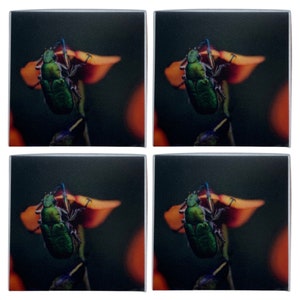 May include: Four square coasters featuring a green beetle perched on a flower. The beetle is on a brown flower with a yellow centre. The background is dark green.
