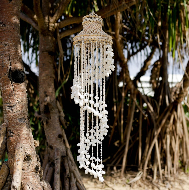 Pode incluir: Um m&oacute;bile de conchas brancas com um design em espiral pendurado em um galho de &aacute;rvore. O m&oacute;bile &eacute; feito de materiais naturais e tem um visual r&uacute;stico.