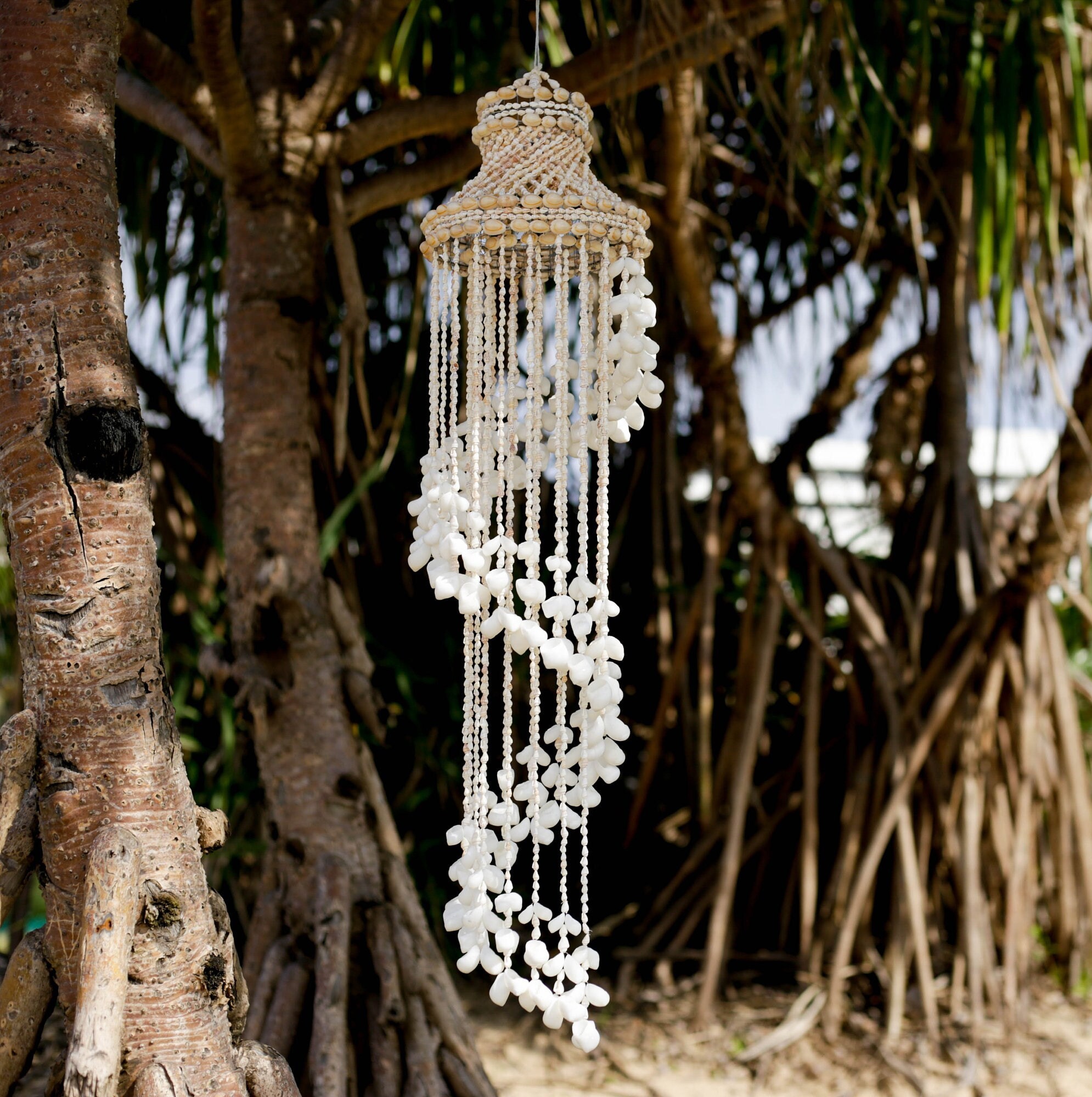 Elegant Shell Pendant Light | Seashell Chandelier | Modern Pendant ...