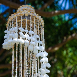 Lámpara colgante de concha elegante / Lámpara de araña de concha / Lámpara colgante moderna / Lámpara de araña grande / Iluminación bohemia / Pantalla de lámpara de concha