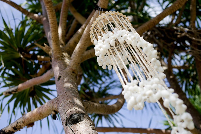 Pode incluir: Um m&oacute;bile de conchas brancas pendurado em um galho de &aacute;rvore. O m&oacute;bile &eacute; feito de muitas pequenas conchas brancas enfiadas em cord&otilde;es brancos.