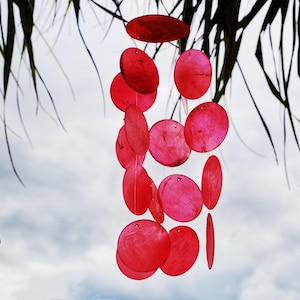 Op de afbeelding: Een roze schelp windgong die aan een palmbladeren tak hangt. De windgong is gemaakt van meerdere ronde schelpen, elk met een andere grootte en vorm.