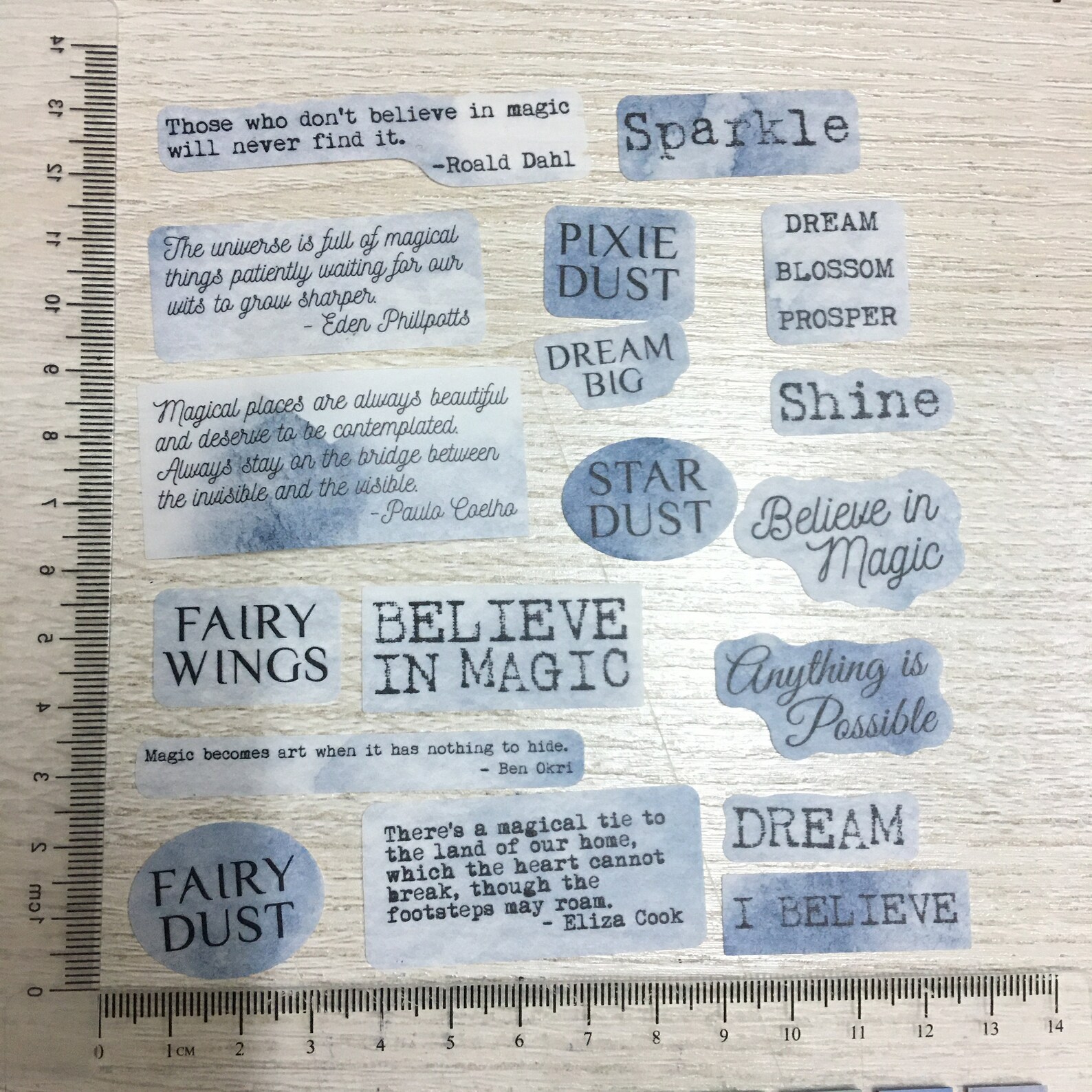 60pcs Vintage Vellum Stickers Flower Moon Quote Set Journal Etsy