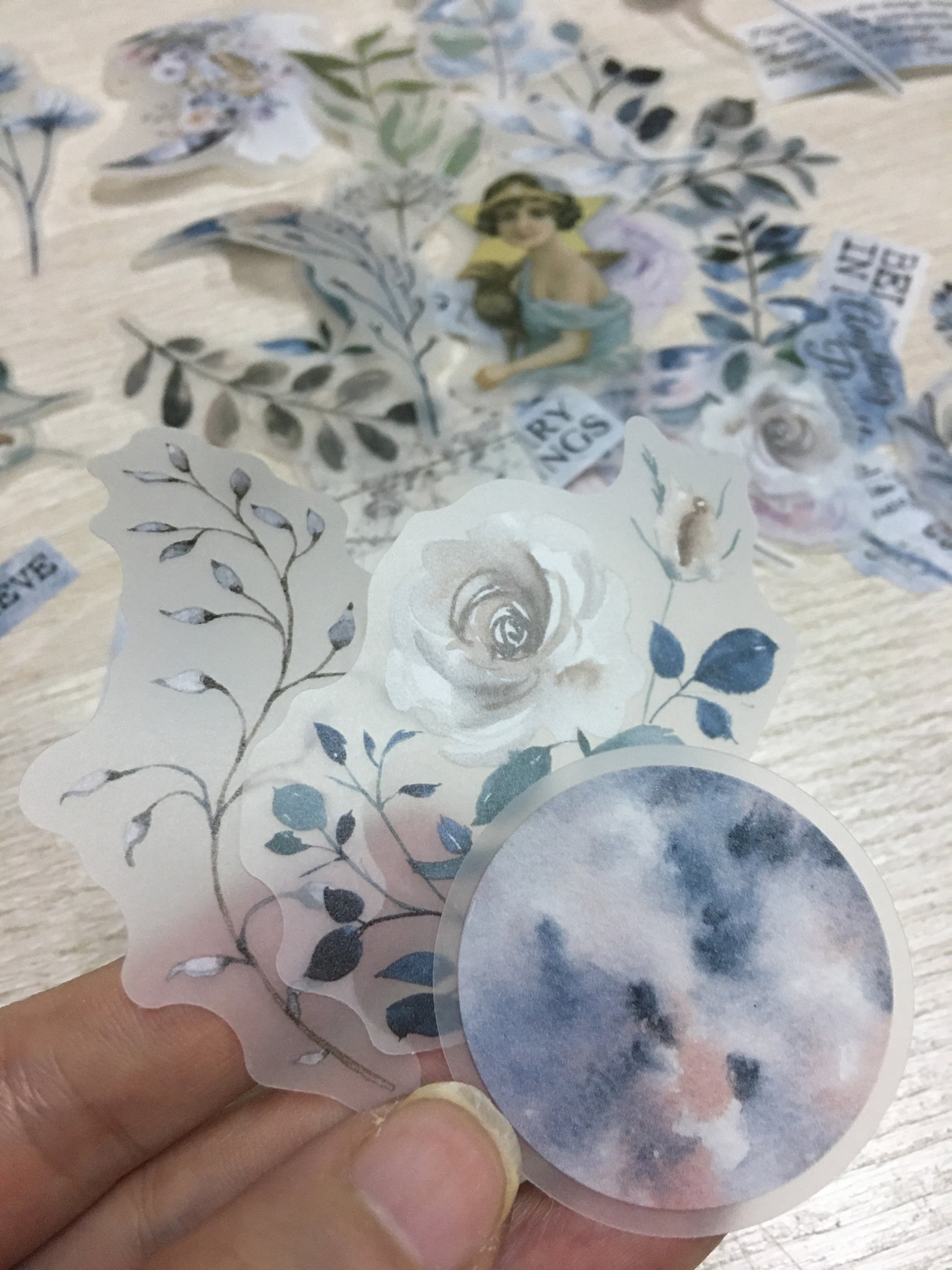 60pcs Vintage Vellum Stickers Flower Moon Quote Set Journal - Etsy