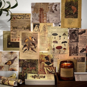 60 stuks, vintage papier, ephemera, achtergrondversiering, plakboek, collage, knutselen, rommeldagboek, tijdschriftbenodigdheden, papierbundel, PP13