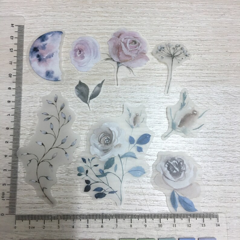 60pcs Vintage Vellum Stickers Flower Moon Quote Set Journal - Etsy