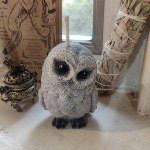 Custom Owl Candle, 50|50 Parrafin-Soy Wax, Vegan Candle, Fantasy Candle, Eco-Friendly, Bird Candle, Aromatherapy