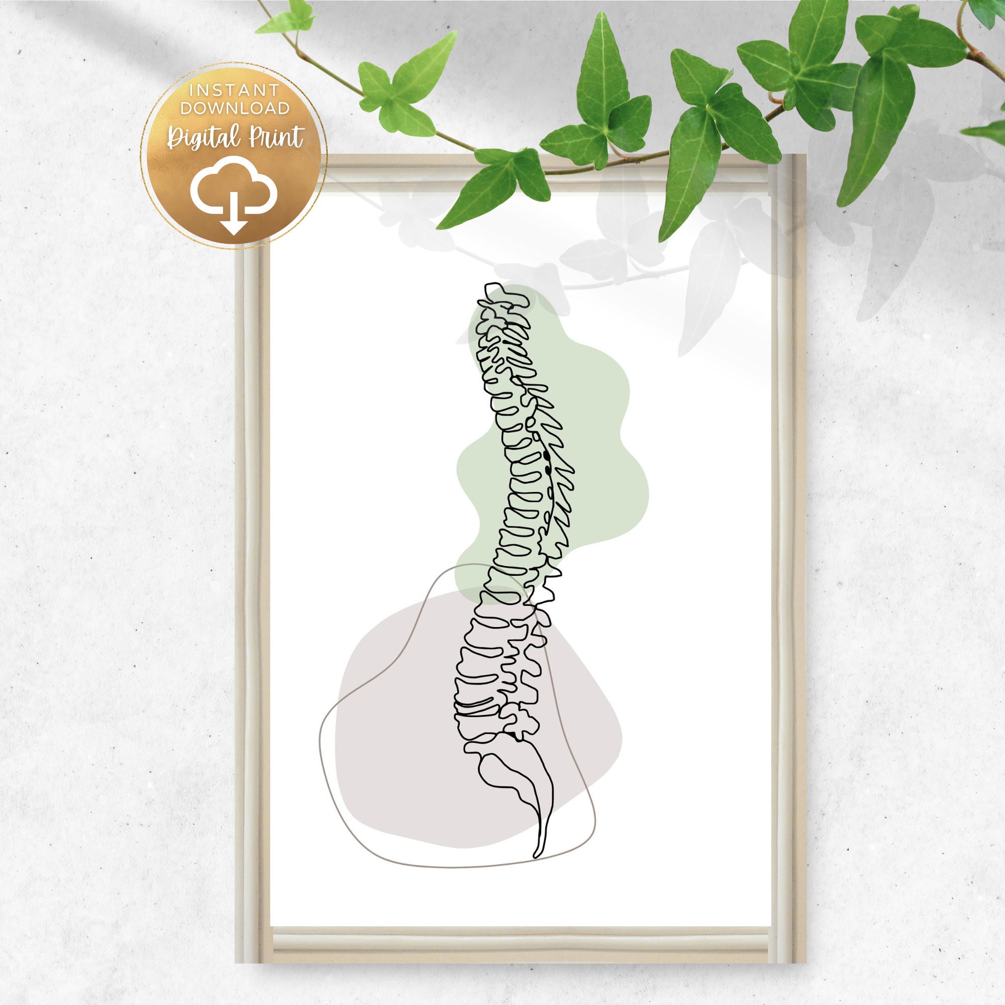 Chiropractic Wall Art Set is Perfect for Chiropractic Office Decor and
