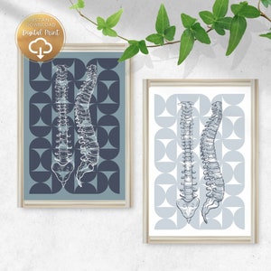 Chiropractic Art Bauhaus Poster Perfect for a Chiropractor gifts | Physical Therapy Art, Chiropractic Poster, Spine Art